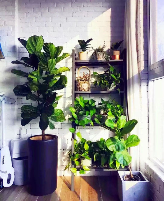 A balcony where you can relieve your tiredness