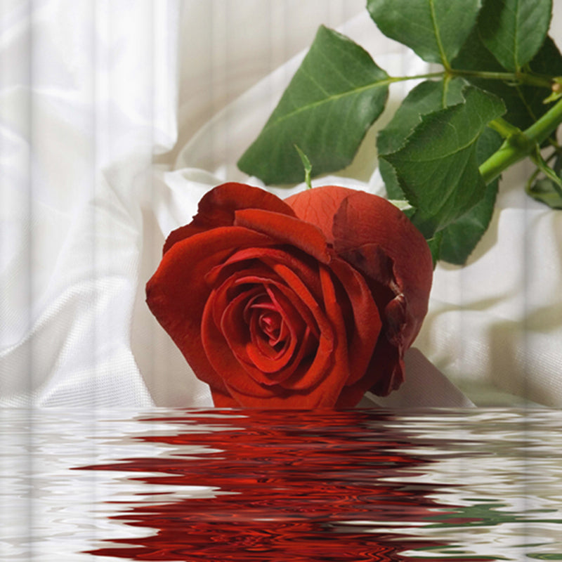 3D Red Rose in Water Printed Polyester Bathroom Shower Curtain